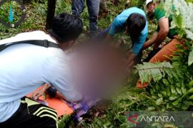 Warga tewas diduga diserang harimau