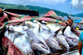 Tingkat kesejahteraan nelayan Sulawesi Utara membaik