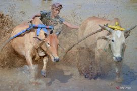 Foto pilihan pekan pertama Februari  2022