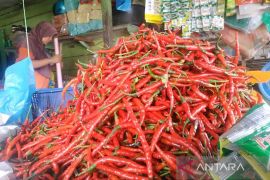 Harga cabai merah dan tomat di Subulussalam melambung