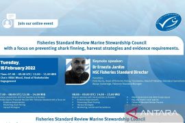 MSC masukkan usulan spesies hampir punah dan dilindungi dalam perubahan standar perikanan