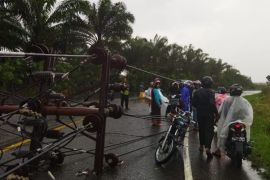 13 tiang listrik tumbang diterpa puting beliung di Bener Meriah