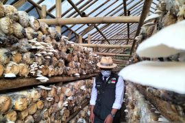 Gubernur Jabar apresiasi inovasi petani milenial bangkitkan perekonomian warga