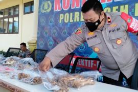 Polisi tangkap pelaku perdagangan harimau sumatera