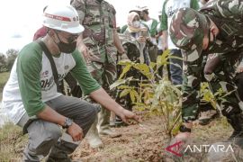 PT Adhi-Cipta KSO tanam pohon dan tebar bibit ikan