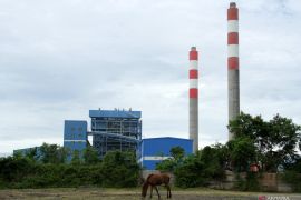 Luhut: Pajak karbon jadikan listrik PLTU batu bara tak lagi murah