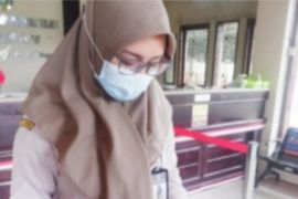 Sarang burung walet dari Sulbar dipasarkan ke Salatiga