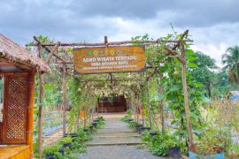 Tapin's BUMDes contributes locally generated revenue