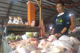 Harga daging ayam di Timika tembus Rp43.000 per kilogram