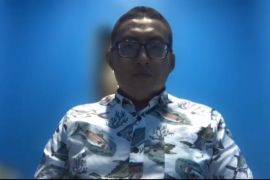 KKP: Kontes ikan hias tingkatkan peluang usaha budi daya