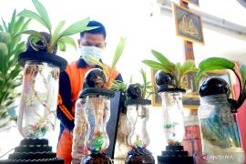 WBP Lapas IIA Gorontalo produksi batok kelapa bonsai