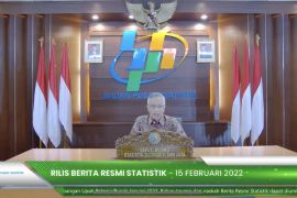 Indonesia's exports plunge 14% in January