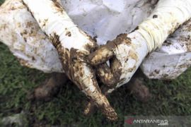 Kematian akibat COVID-19 di Majalengka bertambah 4 orang dalam sehari