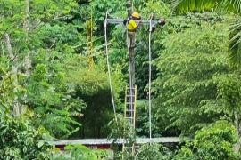 Sempat terkendala akses jalan, PLN berhasil pulihkan gangguan listrik akibat longsor di Kabupaten Temanggung