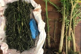 Petugas temukan ganja Rutan Sigli