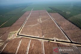 Sumsel pastikan rencana perlindungan  gambut masuk dalam RPJMD