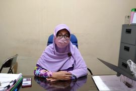 Harga kedelai di Tanjung Pandan naik menjadi Rp11 ribu per kilogram