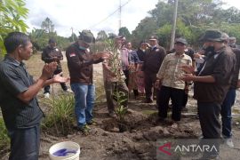 Tanam pohon berbuah hingga pemberian sembako isi aksi sosial BMS di Adiankoting