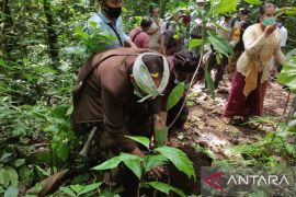 Bali's Lemukih-Buleleng boosts tree-planting program in line with G20