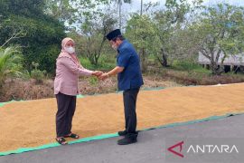 Permasalahan pupuk bersubsidi warga Barito Kuala diharapkan segera teratasi