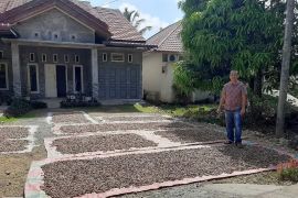 Harga pinang di Aceh Jaya anjlok