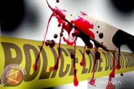 Tak terima nomor telepon diblokir, warga Tapteng tikam ibu muda di Taput