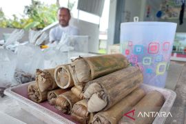 Kuasai pasar se-Banua Enam, warga HST ini sukses bisnis ulat bumbung