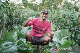 Petani Agung Wedhatama dukung Program PLN "Electrifying Agriculture"