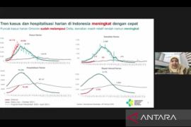 Daily COVID-19 cases subside nationally