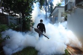 Uji coba "wolbachia" menunggu nota kesepakatan Kemenkes dengan Pemprov DKI