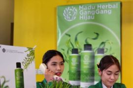 Hizrah Bacan kembali luncurkan herbal alami ganggang hijau