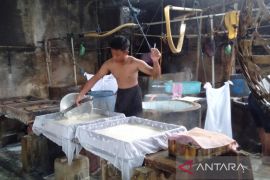 Harga kedelai naik, perajin tahu alami penurunan keuntungan