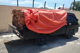 Ini pelaku ilegal logging di kawasan hutan Geumpang