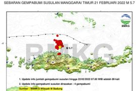 BMKG : 187 kali gempa susulan guncang wilayah Manggarai-Flores NTT