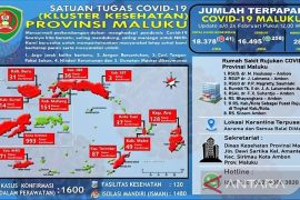 Satgas : tersisa 1.600 Kasus aktif COVID-19 di Maluku, begini penjelasannya