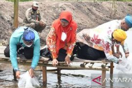 Bupati : Populasi ikan lokal turun