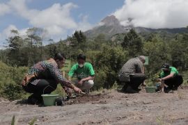 Wabup Sleman lakukan Gerakan Tanam Kopi di lereng Merapi
