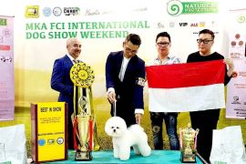 Jie-Jie mewakili Asia pada CRUFTS 2022 Dog Show di Birmingham