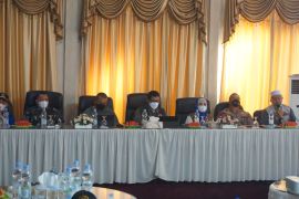 Longsor kaki Gunung Talamau Pasaman pasca gempa ancam pemukiman