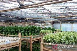 Dekranasda Sukabumi promosikan produk kerajinan tangan ke pasar internasional