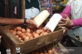 APTRI desak pemerintah naikkan HPP gula tani