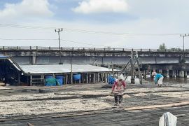 Harga jual udang rebon di Tanjabbar Provinsi Jambi  naik