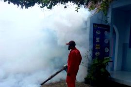 Kasus DBD di Kota Kediri Januari-Februari capai 49 orang