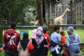 Arus Mudik  --  Online reservations can help control tourist numbers during Eid