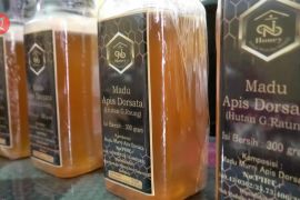 Mengubah hobi menjadi pundi pundi rezeki&nbsp;