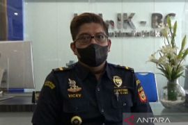 Burung impor tiba di Kualanamu, Bea Cukai dan Balai Karantina beda keterangan