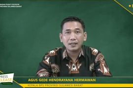 Produksi padi Sulbar turun 33,98 ribu ton GKG pada 2021