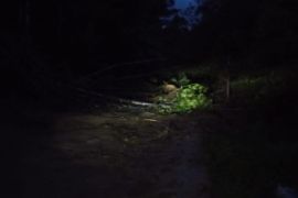 Akses lalu-lintas dari Simpang Empat ke Talu, Sumbar masih terputus akibat longsor