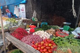 Harga cabai merah di Medan melonjak akibat musim hujan