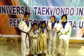 Atlet Taekwondo Bukittinggi raih prestasi di Sumatera Utara